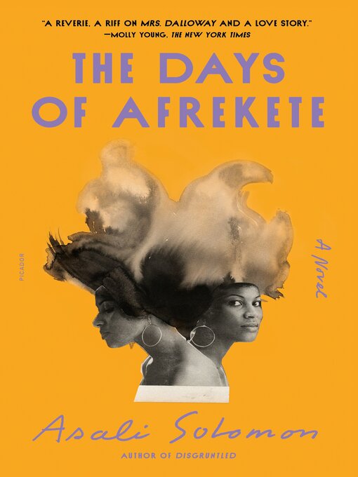 Title details for The Days of Afrekete by Asali Solomon - Wait list